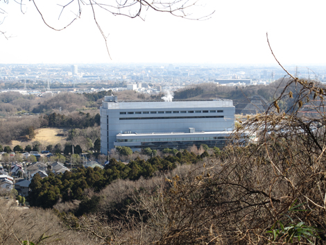 20170126hike (169)